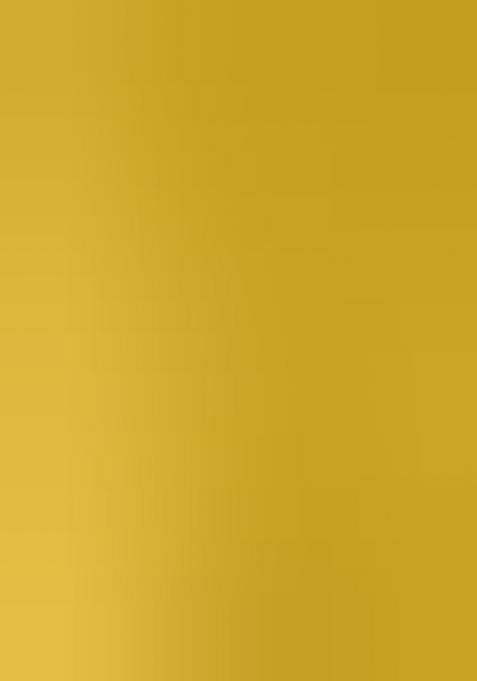 Multicolor Embroidered Silk Lehenga Set