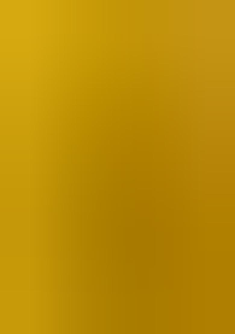 Multicolor Embroidered Silk Lehenga Set