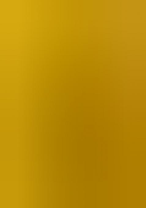 Multicolor Embroidered Silk Lehenga Set