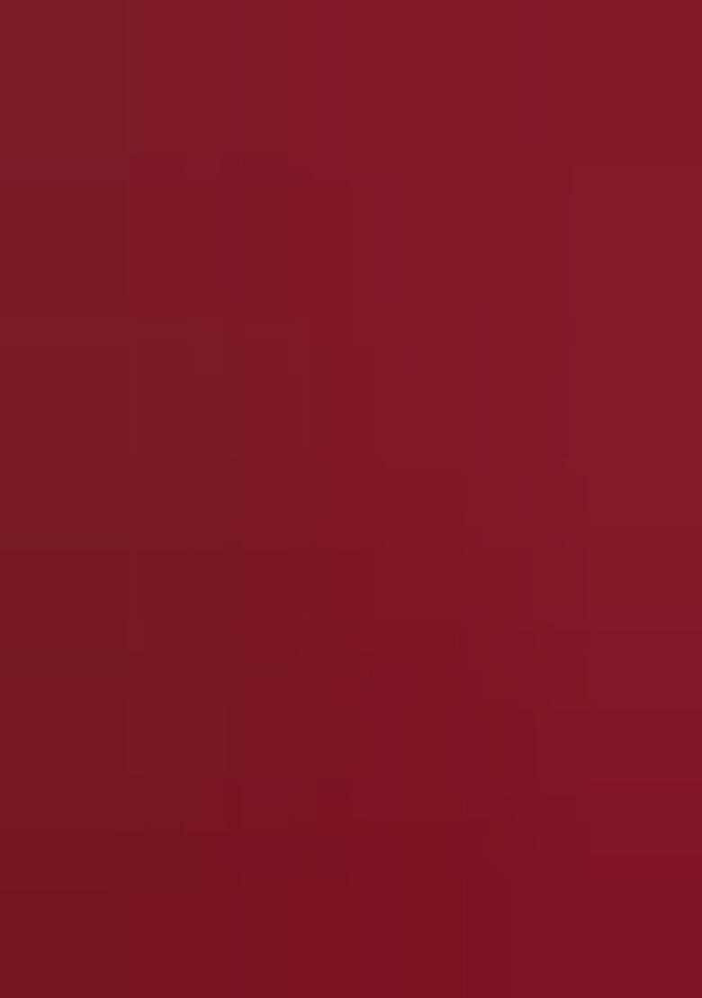 Multicolor Embroidered Silk Lehenga Set