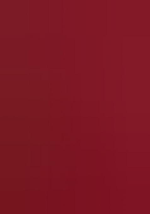 Multicolor Embroidered Silk Lehenga Set