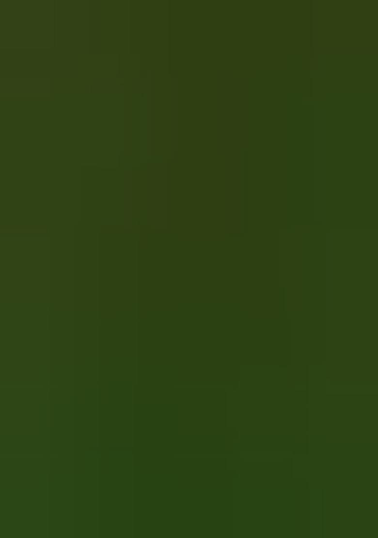 Multicolor Embroidered Silk Lehenga Set