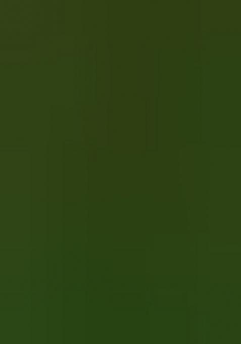 Multicolor Embroidered Silk Lehenga Set