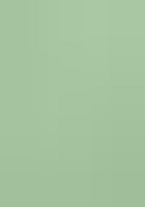 Multicolor Embroidered Silk Lehenga Set