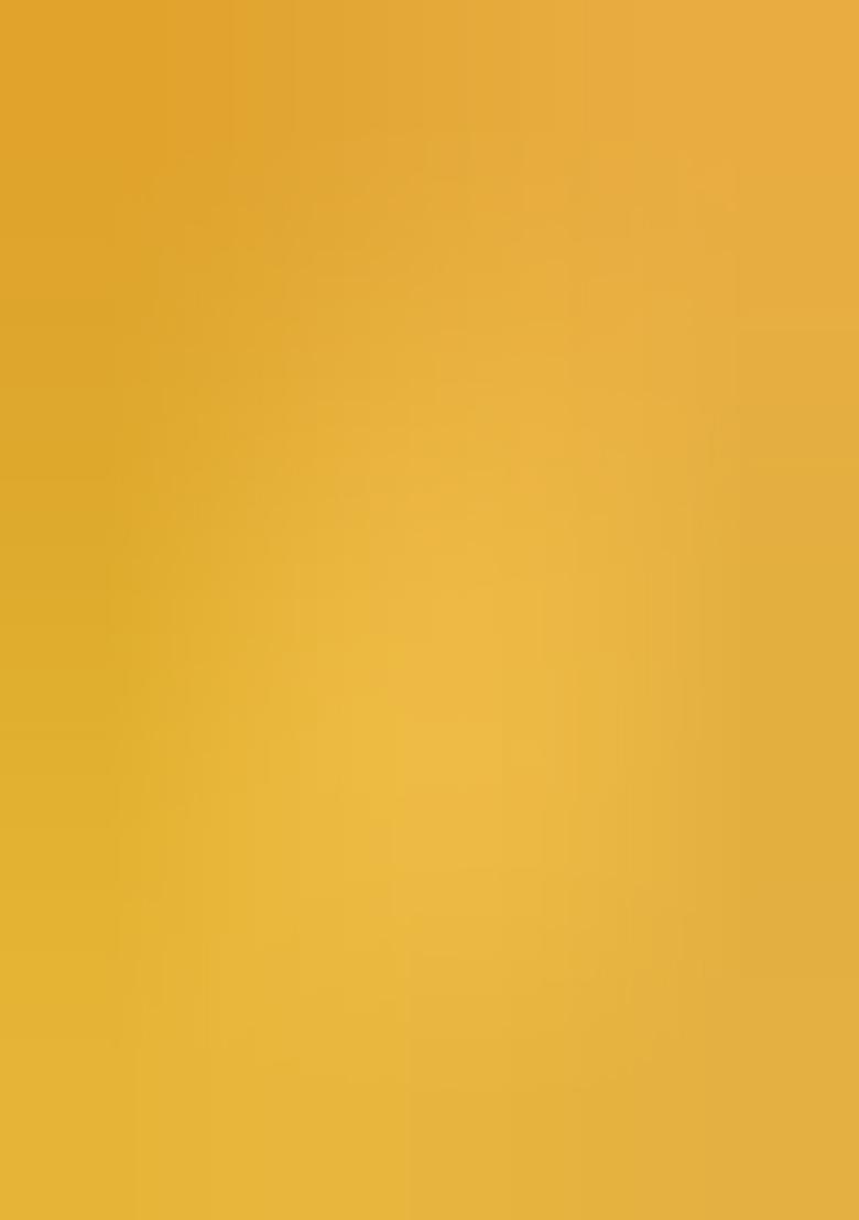 Multicolor Embroidered Silk Lehenga Set