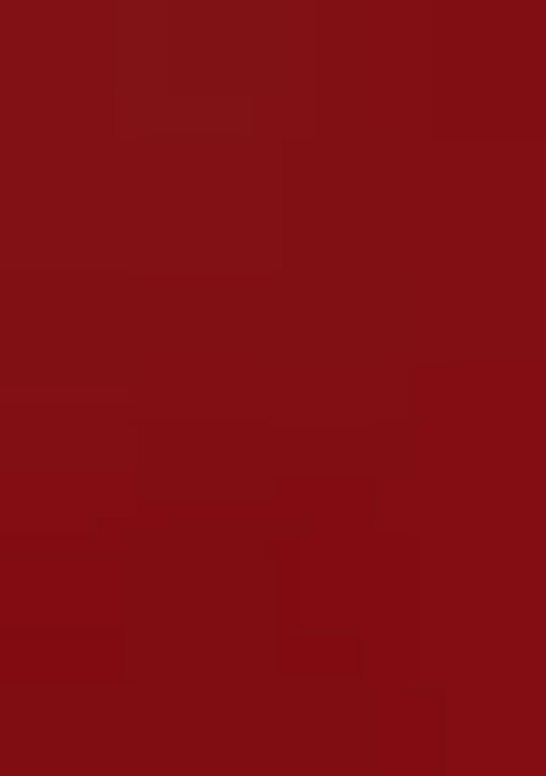 Red Embroidered Silk Lehenga Set