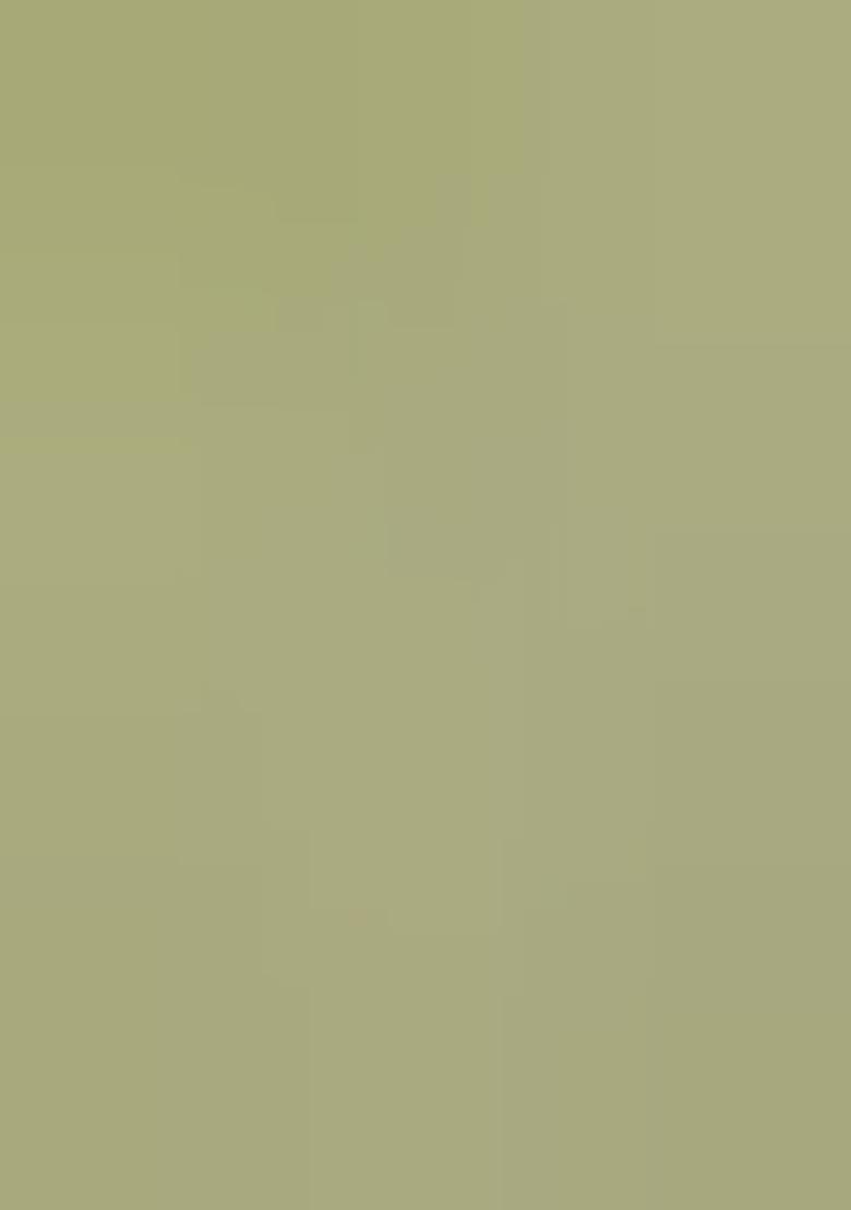 Green Embroidered Georgette Lehenga Choli