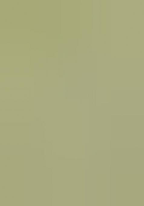 Green Embroidered Georgette Lehenga Choli