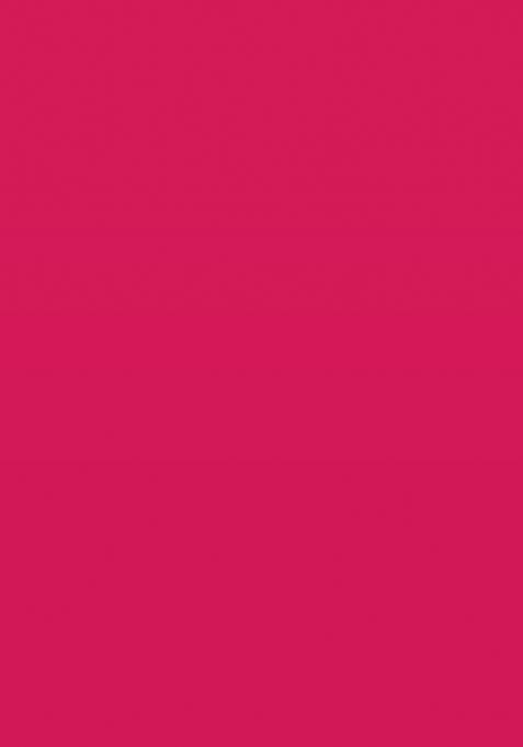 White Embroidered Georgette Lehenga Choli