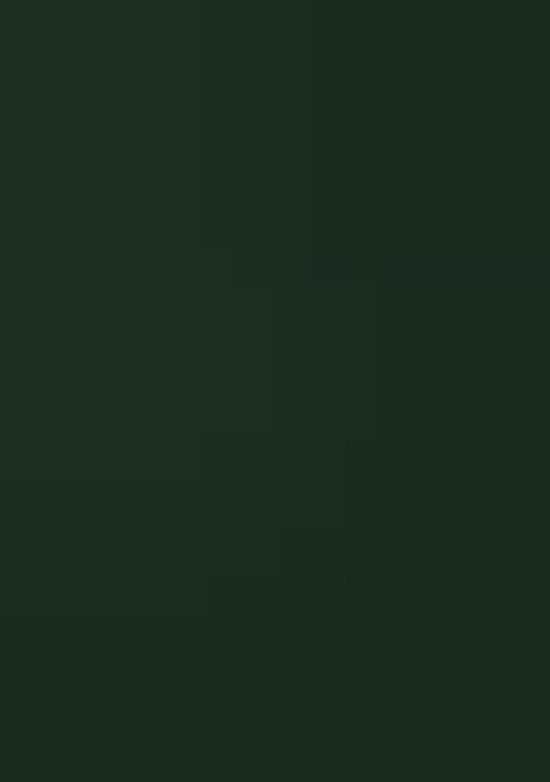 Green Embroidered Georgette Lehenga Choli