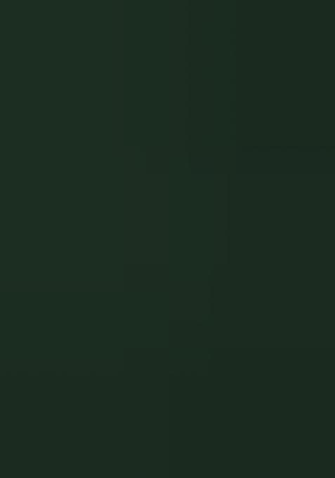 Green Embroidered Georgette Lehenga Choli