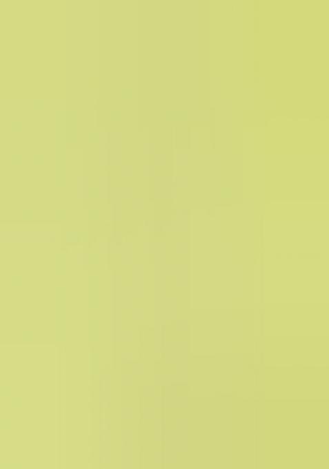 Multi Embroidered Georgette Lehenga Choli