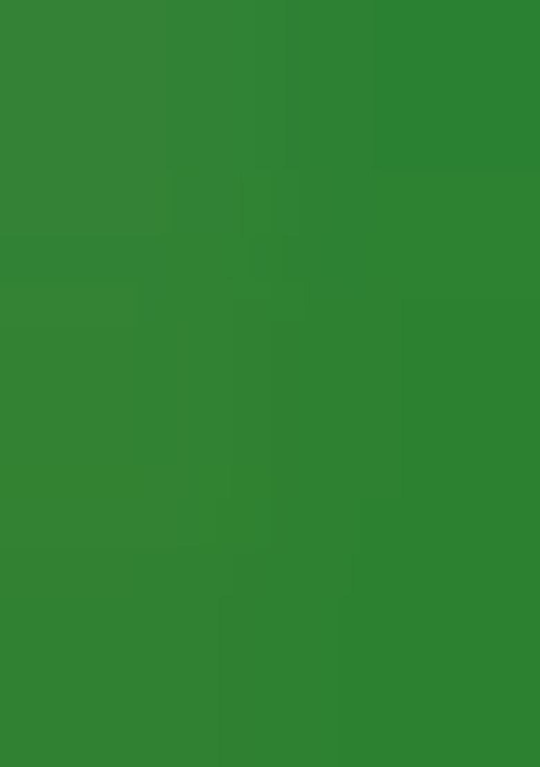 Green Printed Silk Lehenga Choli