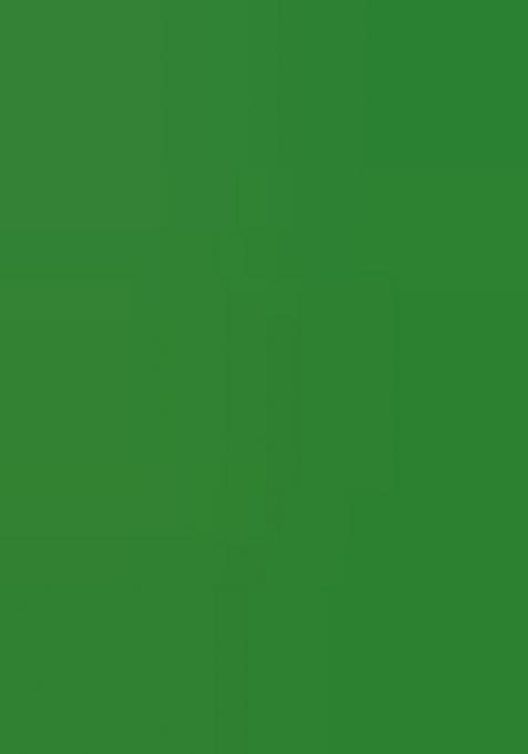 Green Printed Silk Lehenga Choli