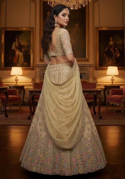 Champagne Embroidery Net Lehenga Set