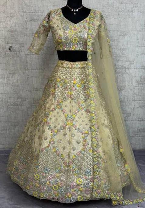 Champagne Embroidery Net Lehenga Set