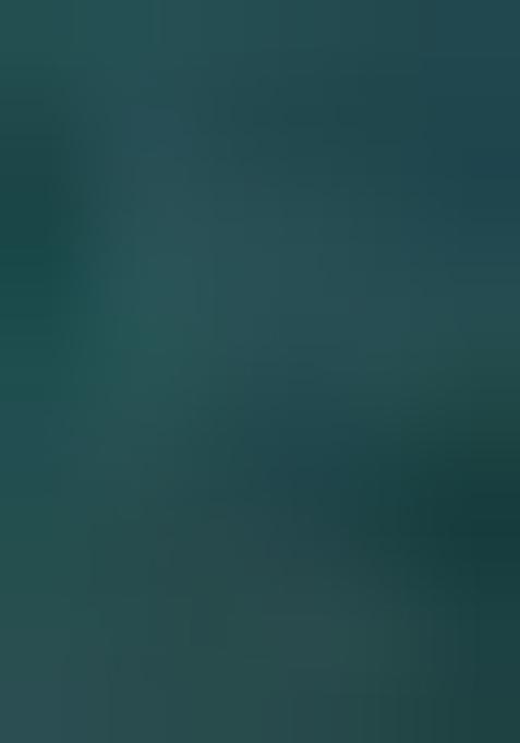 Green Multi And Sequence Work Net Lehenga Set