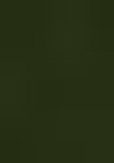 Mahendi Embroidery Work Dola Jacquard Lehenga Set