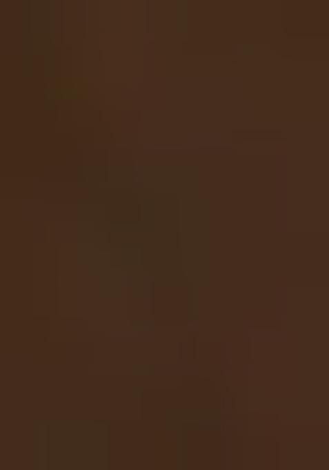 Mahendi Embroidery Work Silk Lehenga Set