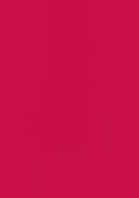 Rani Bridal Ensemble With Elephant Motifs Silk Lehenga Set