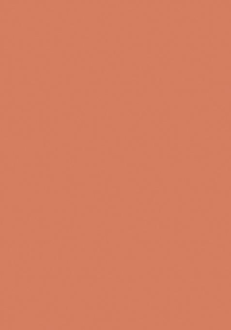 Rust Peacock Feather Work Silk Lehenga Set