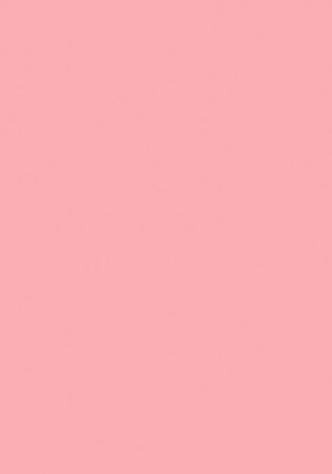 Baby Pink Floral Print Silk Lehenga Set