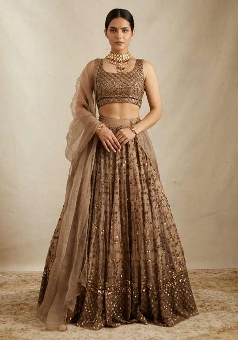 Brown Embroidery Net Lehenga Choli