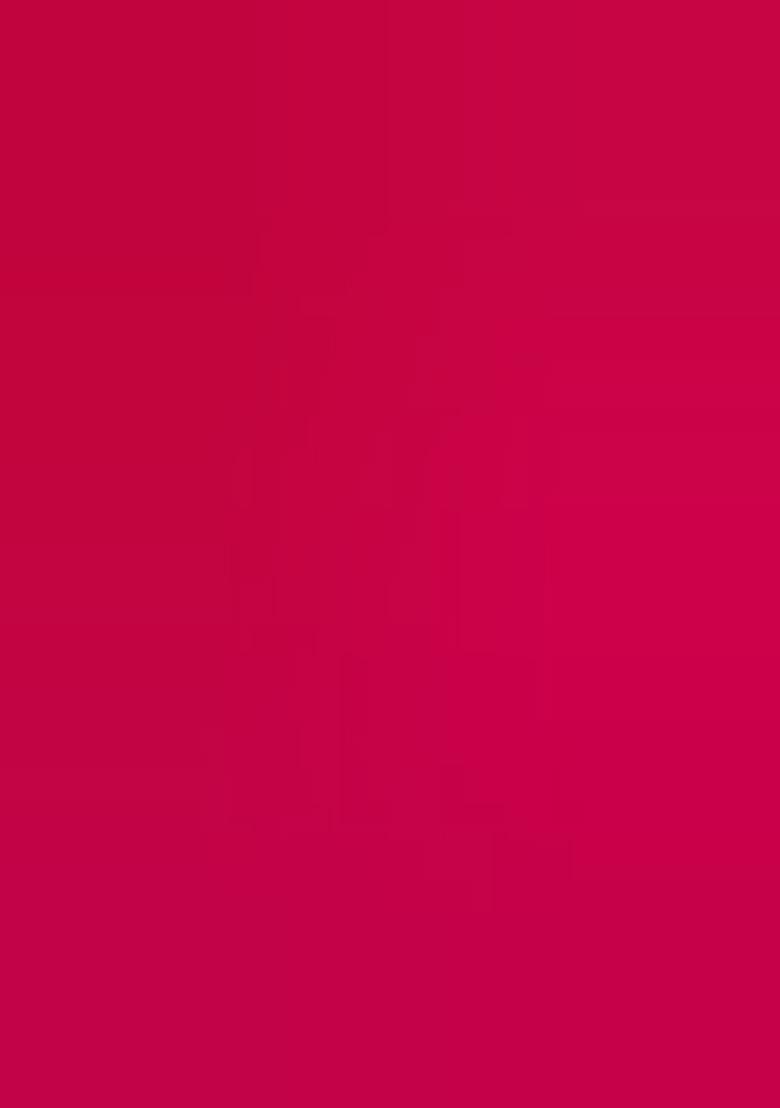 Rani Pink Zari Work Net Lehenga Choli