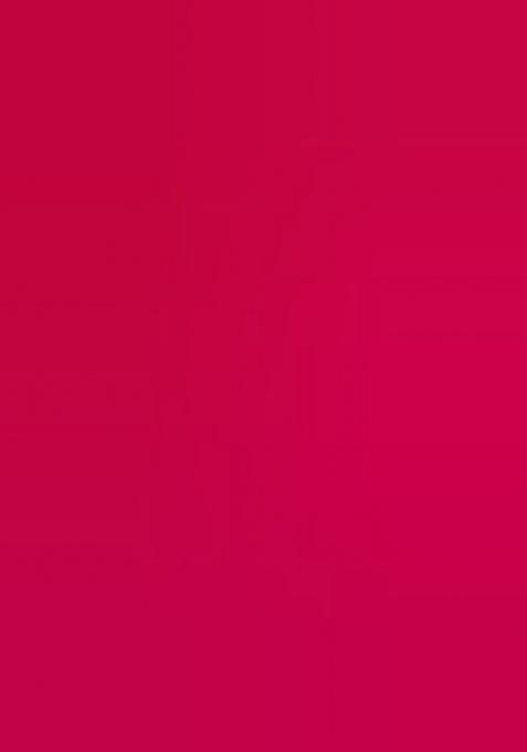 Rani Pink Zari Work Net Lehenga Choli