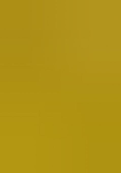 Yellow Zari Work Net Lehenga Choli