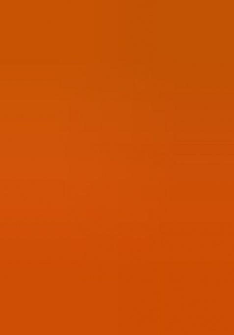 Orange Zari Work Net Lehenga Choli