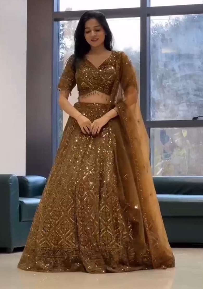 Multicolor Embroidery Net Lehenga Set - Indya