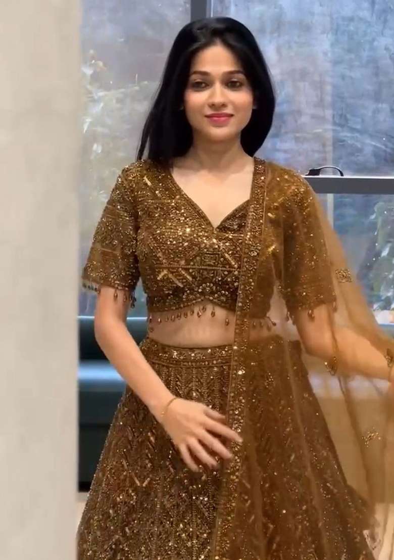Multicolor Embroidery Net Lehenga Set - Indya