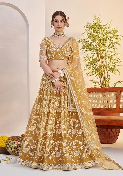Light Golden Embroidery Net Lehenga Set