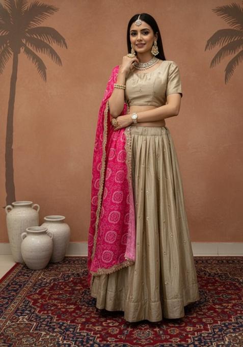 Light Gold Embroidered Silk Lehenga Set