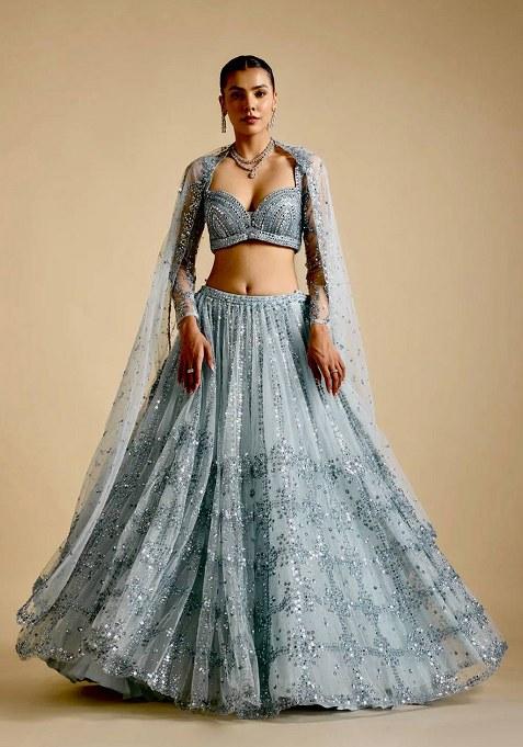 Sky Blue Sequin Work Net Lehenga Set