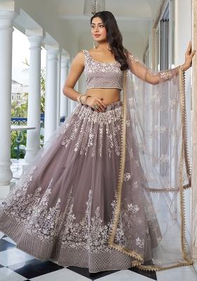 Light Dusty Brown Embroidery Net Lehenga Set