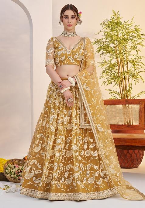 Light Golden Embroidery Net Lehenga Set