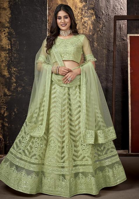 Pista Embroidery Net Lehenga Set