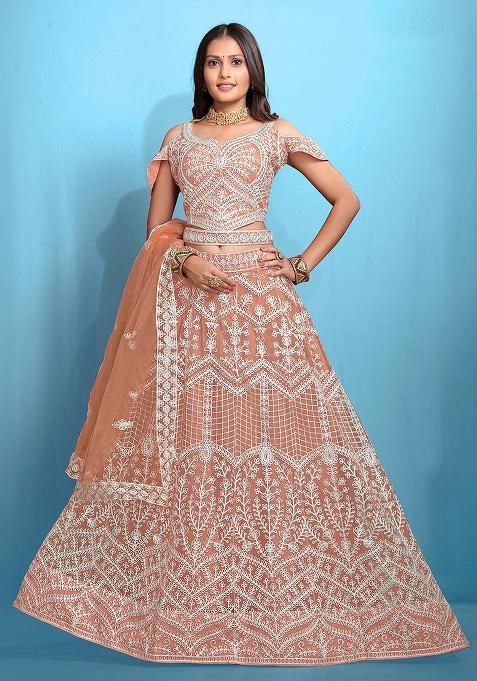 Peach Embroidered Net Lehenga Set