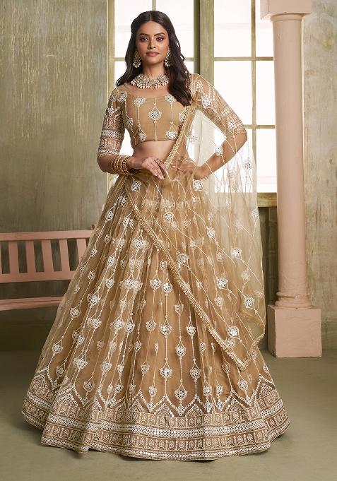 Beige Embroidered Net Lehenga Set