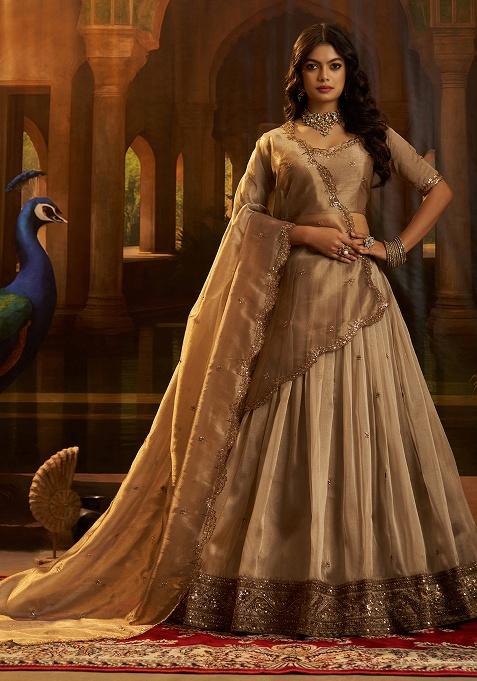 Brown Embroidery Organza Lehenga Set