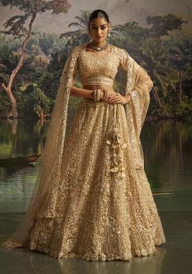Cream Embroidery Net Lehenga Set