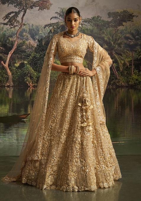 Cream Embroidery Net Lehenga Set