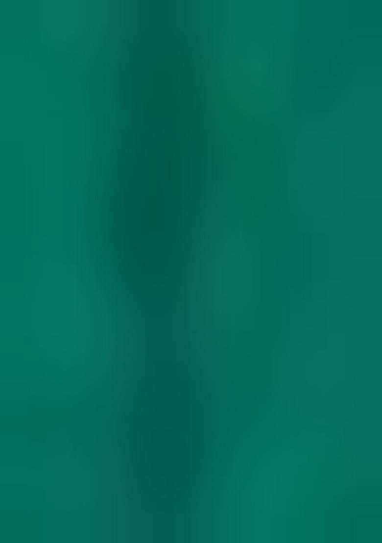 Green Embroidery Silk Lehenga Set - Indya