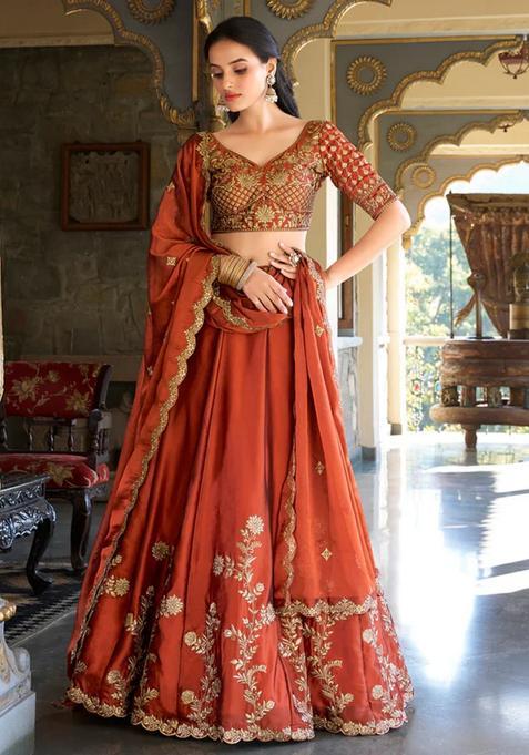 Brown Embroidered Chiffon Lehenga Set