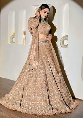 Multicolor Embellished Net Lehenga Set