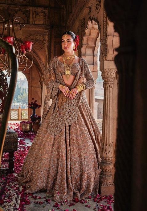 Multicolor Embellished Georgette Lehenga Set