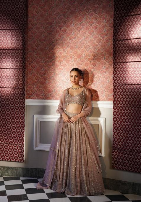 Multicolor Embellished Georgette Lehenga Set