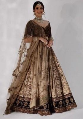 Cream Embroidered Velvet Lehenga Set
